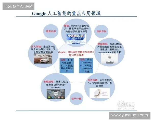 一号娱乐有限公司企业发展历程与未来战略布局深度剖析